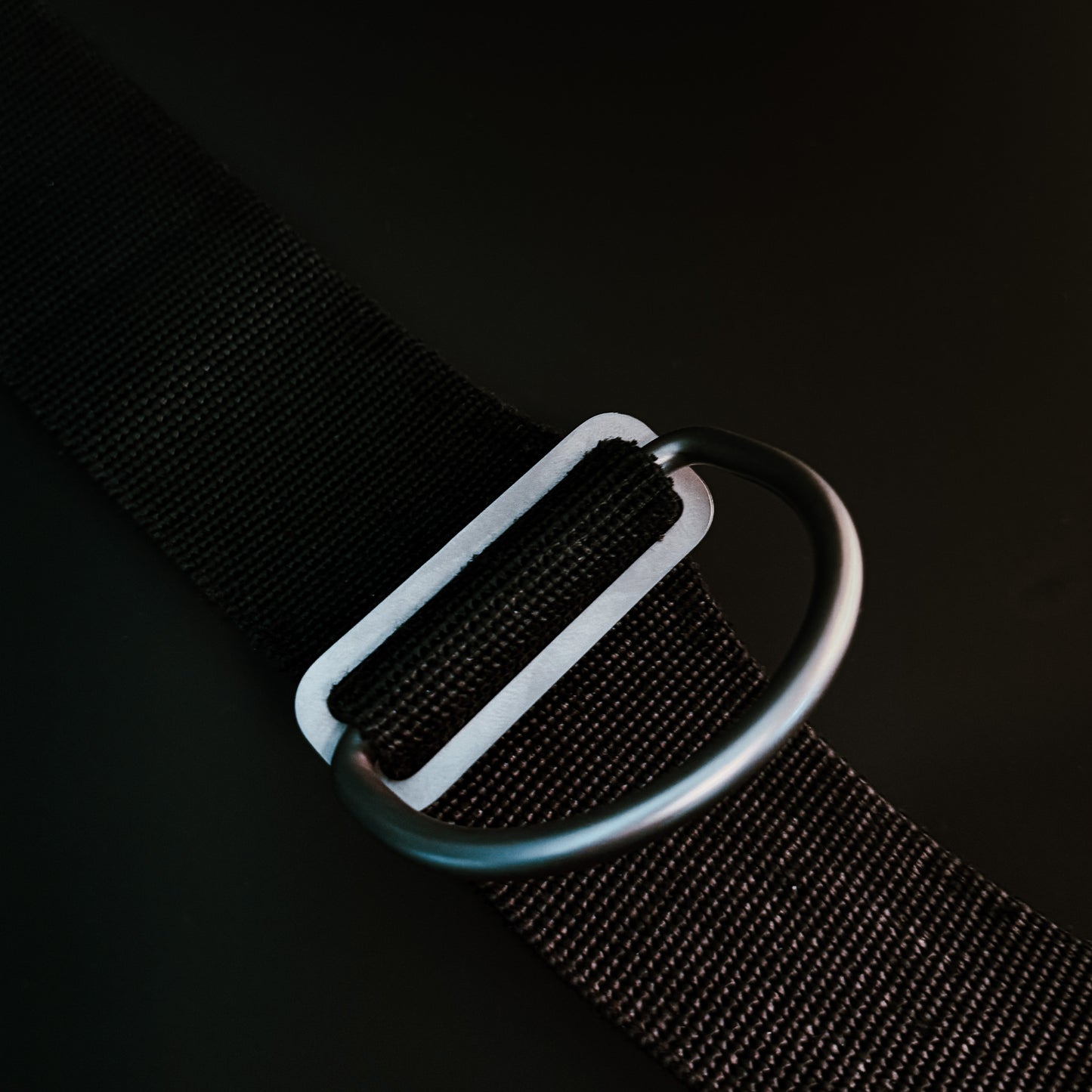 Dan Sun Titanium Old gen D-Ring And Tri-Glide Set