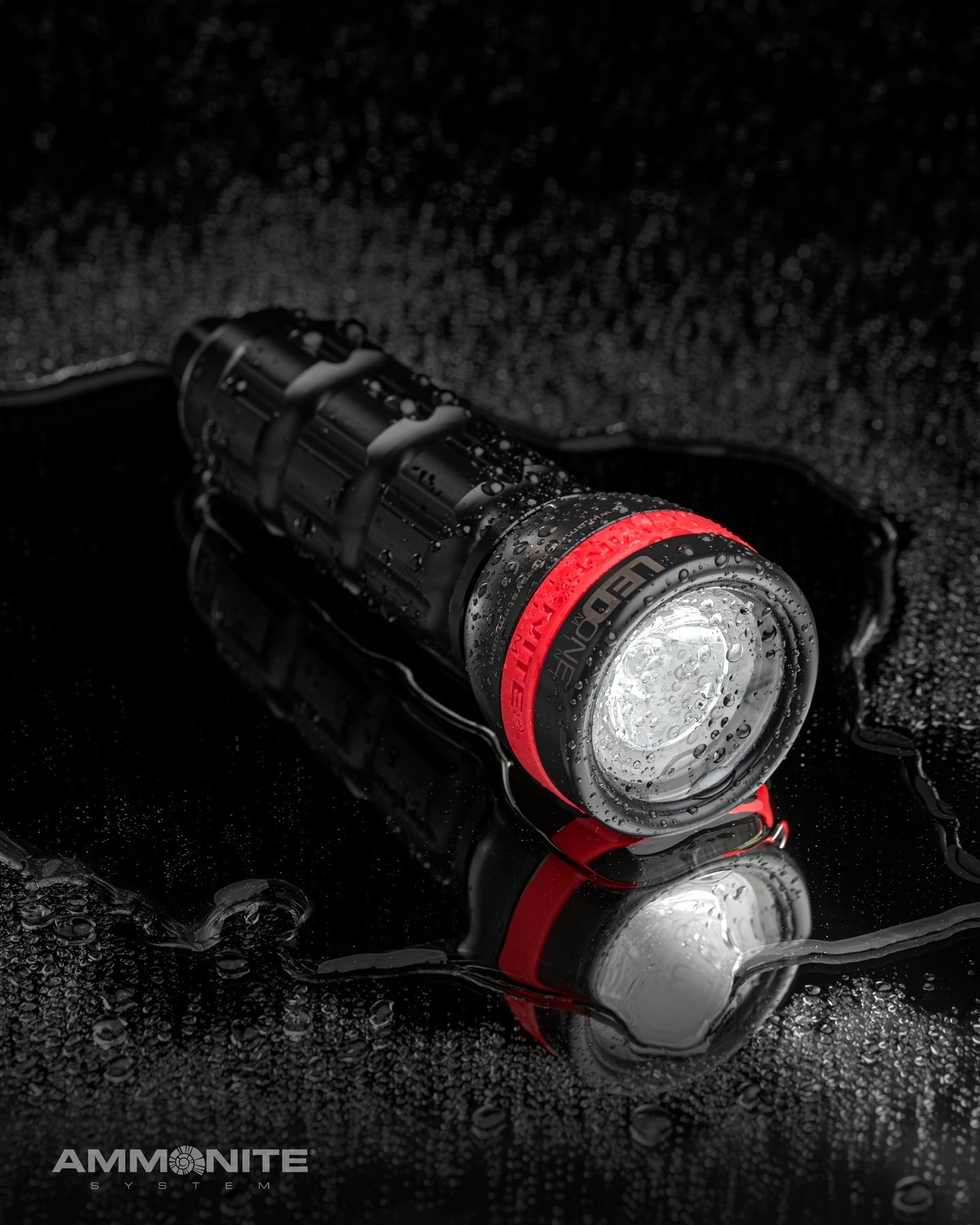 Ammonite LED One Mini Backup Light Set - Deep Dive Supplies