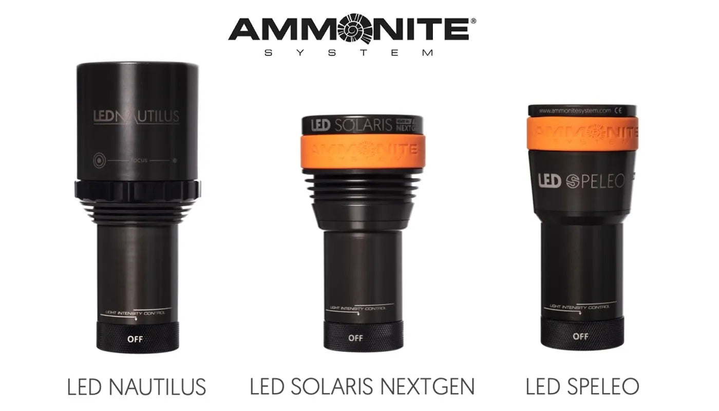 Ammonite LED Nautilus Canister Light